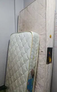 تشک