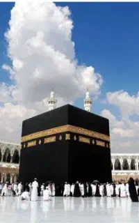 خریدوفروش فیش حج