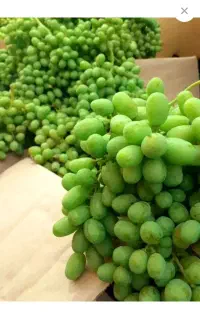 غوره انگور