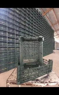 کارگر ساده در سبد سازی