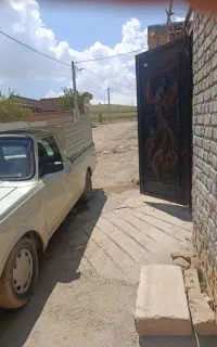 فقط نقد