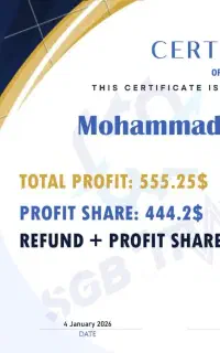 تریدر بازار فارکس هستم/همکاری با سرمایه گذار