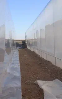 نصب و فروش تجهیزات گلخانه