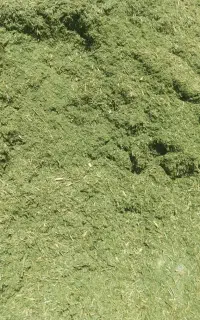 جاشیر حیوانی درجه یک