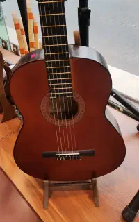 گیتار ایرانی