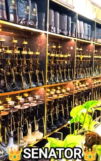 قلیان ترکی برندالجمیرا وکرنو اصلی شارژ شد سناتور
