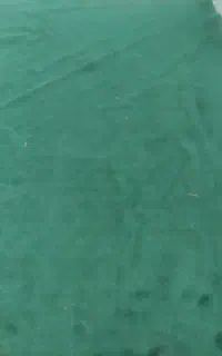 موکت سبز درخدنو سالم