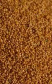 فروش خاک شیر محلی درجه یک