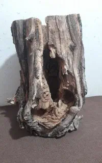 لوازم پرنده