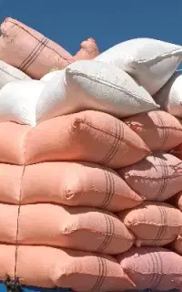کاه دیم
