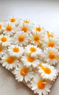 گیفت های شمعی