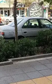 مدارک گم شده
