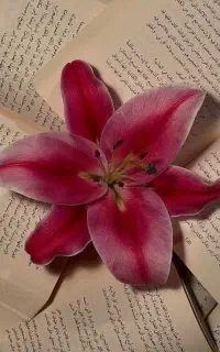 ساخت بنر تبلیغاتی