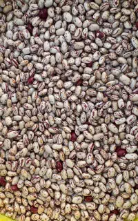 لوبیا چیتی سوپر لوکس درجه 1