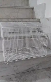 قفس پرنده عروس مرغ عشق