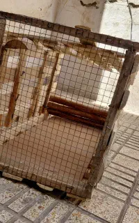 قفس چوبی