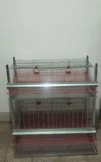 قفس ترکیبی مرغ و خروس و بلدرچین و کبک