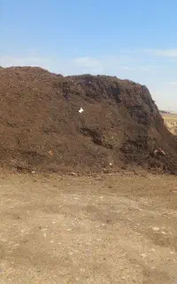 کود حیوانی