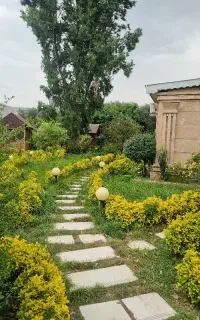 سرایداری  و قلیان زن