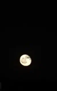 ۰۹۱۳ ۷۳ ۶۳ ۷۳ ۵ سیمکارت