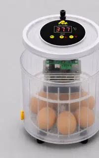 دستگاه جوجه کشی 6 عددی نیمه اتوماتیک نست(Nest)