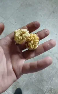 گردو تازه