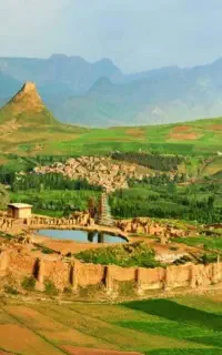 تور گردشی