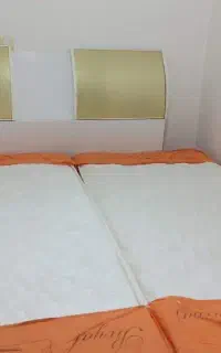 دو عدد تشک طبی فنری