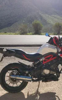 بنلی 99 250 جفت