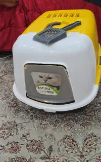 باکس گربه