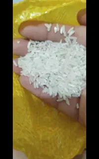 برنج محلی