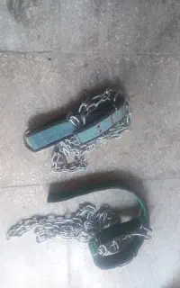 قلاده سگ قیمت جفت ۱میلیون
