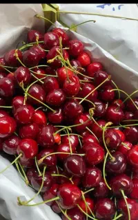 کارگر گیلاس چین هستم با سابقه