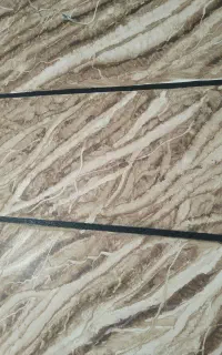 نقاشی ساختمان