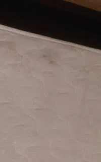 تشک رویال