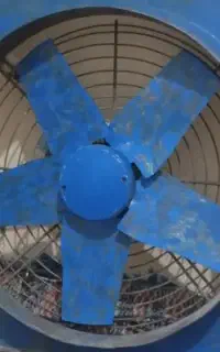فن نو