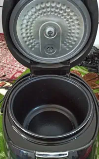 پلوپز برقی