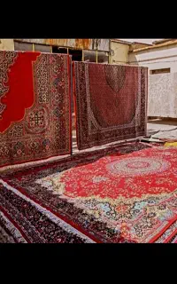 قالیشویی تمام اتوماتیک محسن