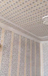 رنگ آمیزی خونه و رنگ طرح کاغذ دیواری با کیفیت بالا