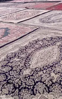 قالیشویی بهار/هشتبندی/خیابان درمان بستر