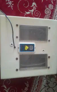 دستگاه جوجه کشی تمام اتوماتیک۴۸تای