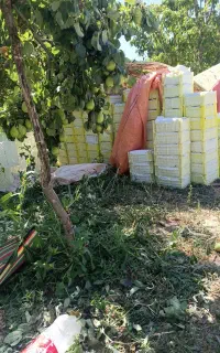 نیاز به وانت مزدایانیسان