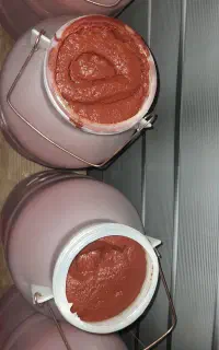 رب خراسان