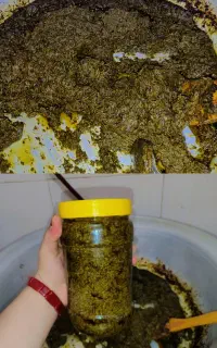سبزی تابیران سرخ شده