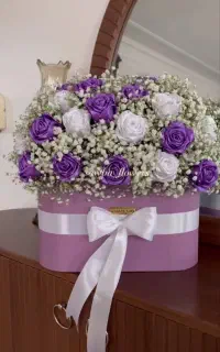 گل ژیبسوفیلا