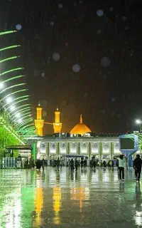 همسفر کربلا