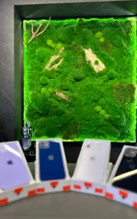 iphone 12 normal 128ch