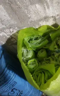 کیسه خالی