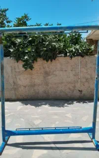 دار چرخشی قالی و گلیم