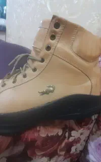 کفش لاگوست اصل